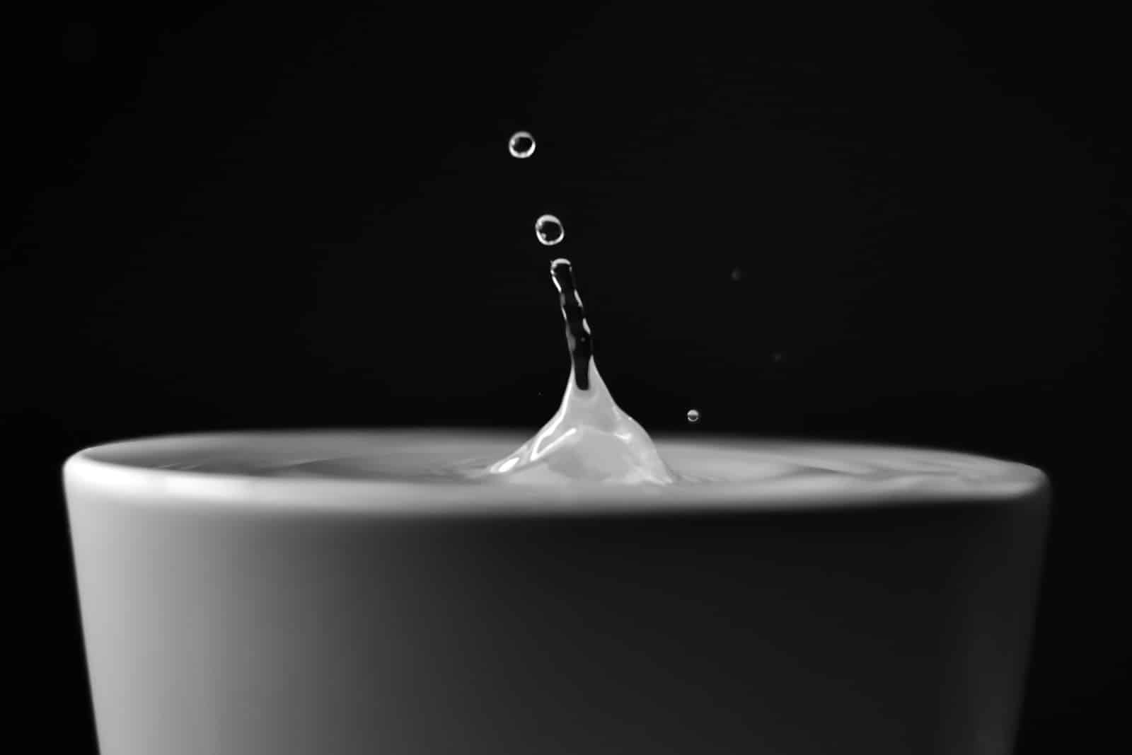 drop of water in black and white photo